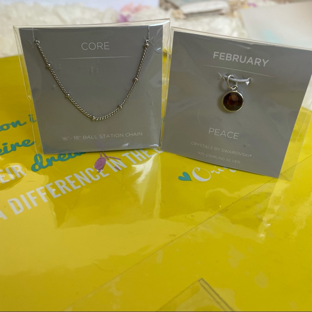 NWT origami owl core 16” chain and February charm